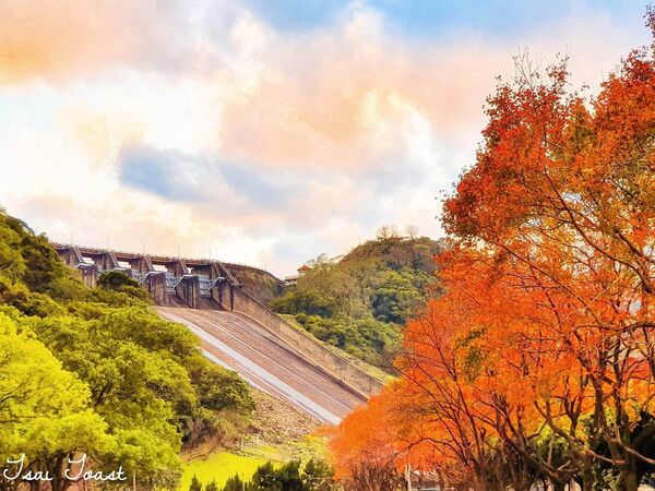 ▲▼2025賞楓特輯。（圖／ReadyGo提供）