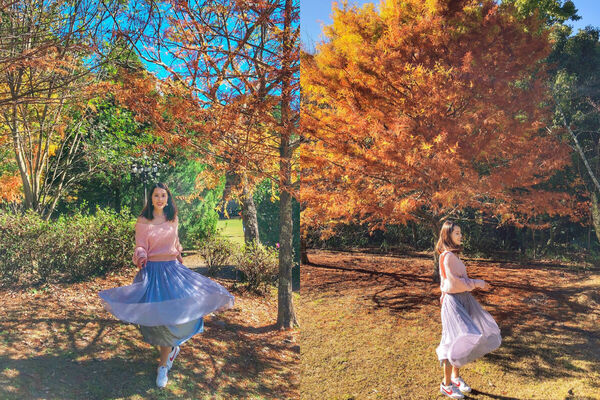 ▲▼2025賞楓特輯。（圖／ReadyGo提供）