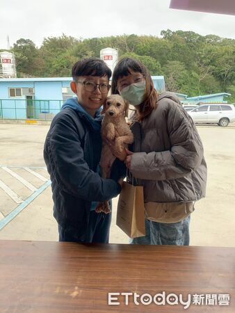 人人犬舍送養。（圖／苗栗縣動保所提供）
