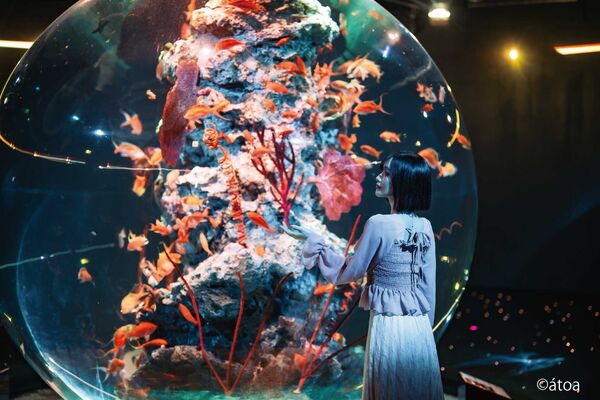 ▲▼神戶劇場型水族館Aquarium&times;Art &aacute;toa。（圖／業者提供）