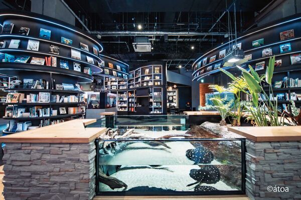 ▲▼神戶劇場型水族館Aquarium&times;Art &aacute;toa。（圖／業者提供）