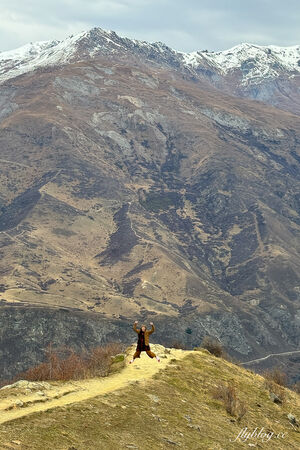 ▲▼紐西蘭南島必拍景點「Crown Range Road Scenic Lookout皇冠山脈公路」，瓦納卡到皇后鎮的絕美公路。（圖／部落客飛天璇提供）