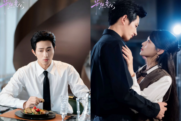 ▲▼紅果短劇曝演員收益，霸總劇男神單部分帳658萬元。（圖／翻攝自微博、小紅書）