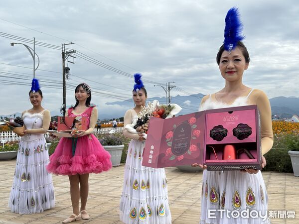 ▲▼新社花海。（圖／台中市政府提供）