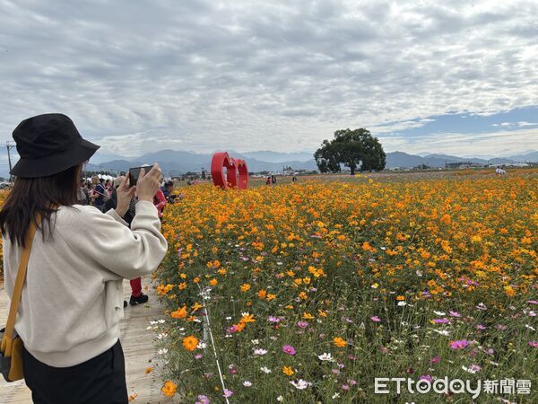 ▲▼新社花海。（圖／台中市政府提供）