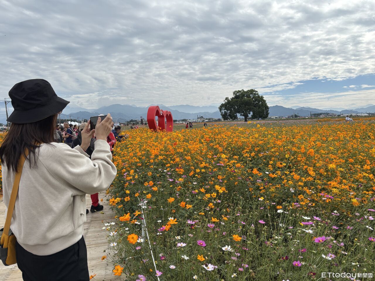 台中花毯節超夯人氣!2週突破200萬人次 把握倒數9天參觀