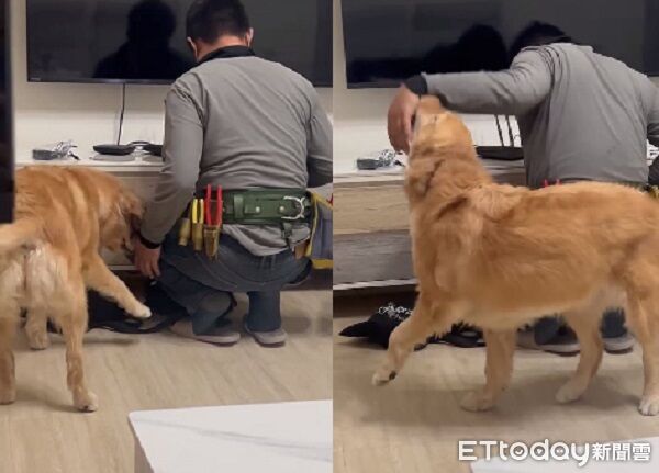 ▲。（圖／Threads@sihya_daily提供，請勿隨意翻拍，以免侵權。）