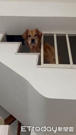 ▲。（圖／Threads@sihya_daily提供，請勿隨意翻拍，以免侵權。）