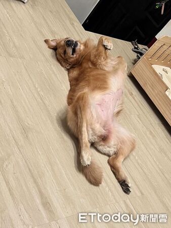 ▲。（圖／Threads@sihya_daily提供，請勿隨意翻拍，以免侵權。）