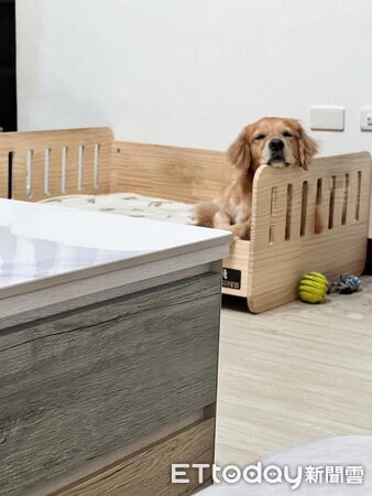 ▲。（圖／Threads@sihya_daily提供，請勿隨意翻拍，以免侵權。）