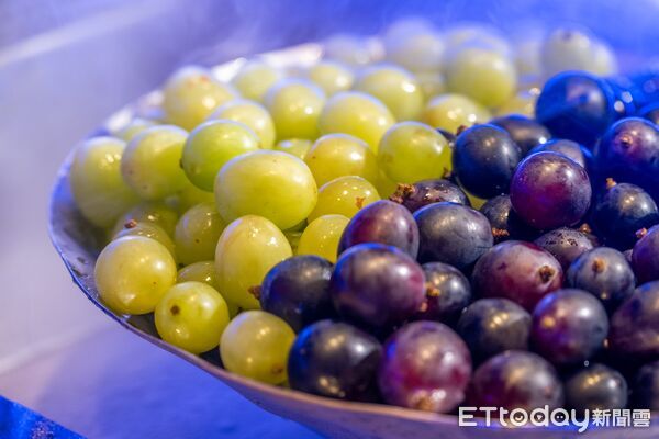 ▲極千葉冬季進補「麻油雞羊肉爐無限供應」　再加碼麝香葡萄吃到飽。（圖／千葉集團提供）