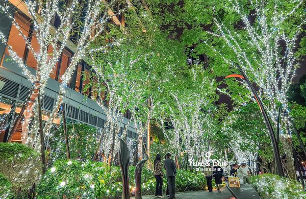 ▲▼「2025勤美草悟聖誕村」40萬顆燈泡點亮的光之道再次回歸，加碼7米耶誕樹。（圖／部落客NINI AND BLUE提供）