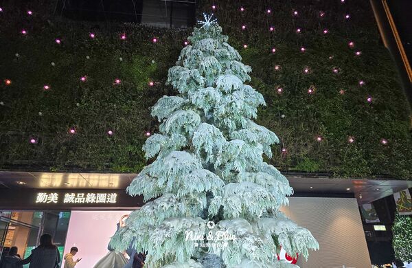 ▲▼「2025勤美草悟聖誕村」40萬顆燈泡點亮的光之道再次回歸，加碼7米耶誕樹。（圖／部落客NINI AND BLUE提供）