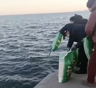 陸「放生大米」怪象　老人「往海裡倒」還念念有詞