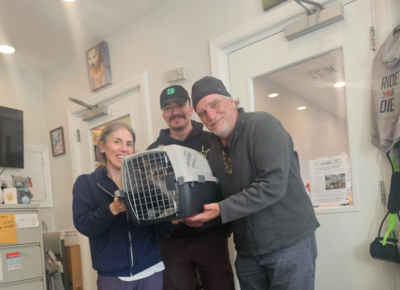 愛貓走丟10年奇蹟找回！美飼主「堅持1舉動」　成重逢關鍵