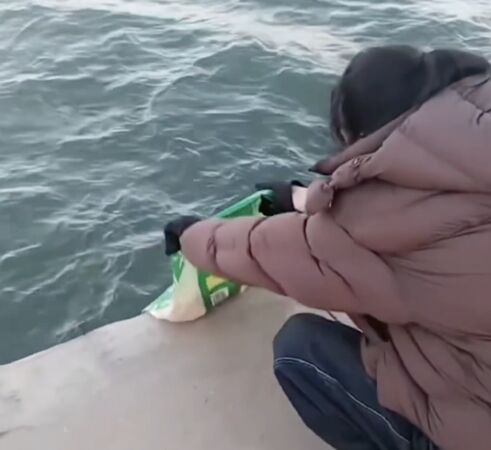 ▲▼陸「放生大米」怪象　老人直接往海裡倒。（圖／翻攝微博）