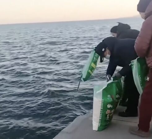 ▲▼陸「放生大米」怪象　老人直接往海裡倒。（圖／翻攝微博）