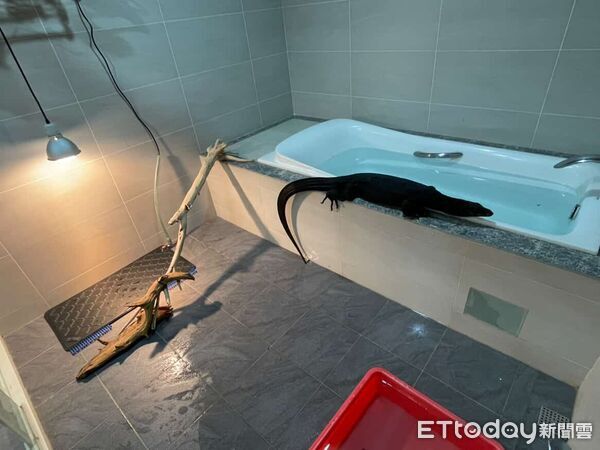 ▲。（圖／Threads@kurogaganicohana提供。）