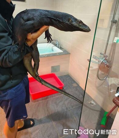 ▲。（圖／Threads@kurogaganicohana提供。）