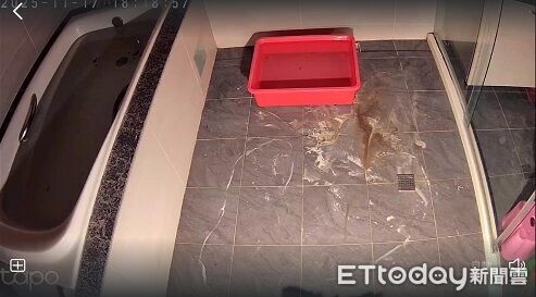 ▲。（圖／Threads@kurogaganicohana提供。）