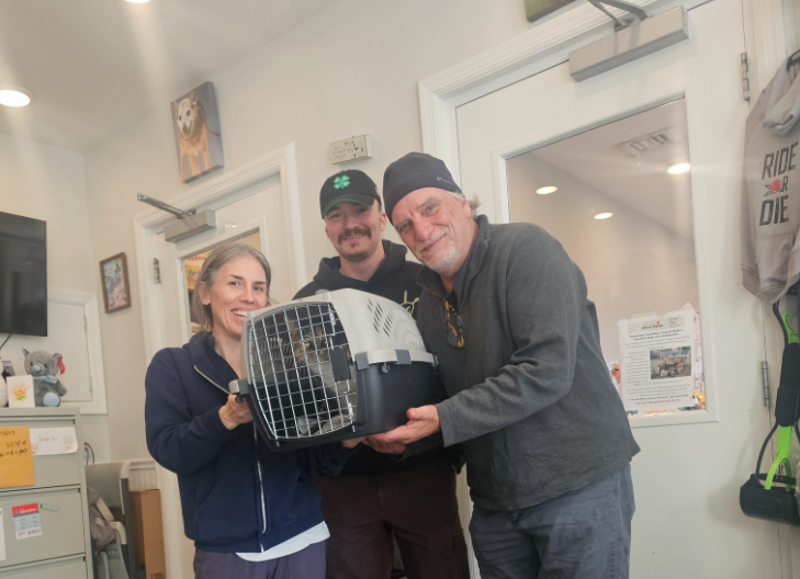 愛貓走丟10年奇蹟找回!美飼主「堅持1舉動」 成重逢關鍵