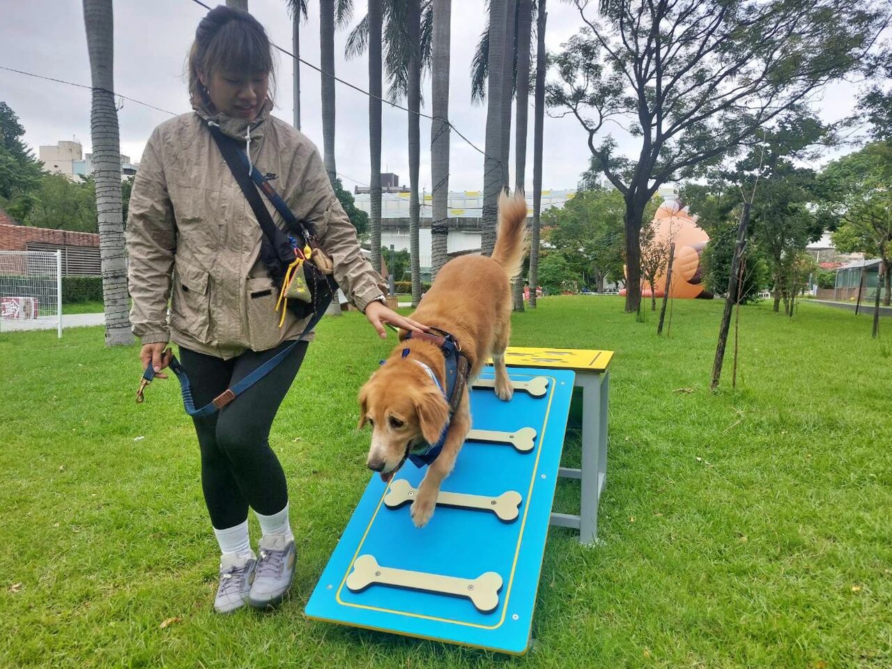 新北毛寶貝耶誕趴11／29開跑　10大寵物遊具超萌搶先亮相