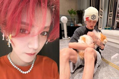 鹿晗3.6億豪宅內裝曝光! 「衛生紙盒就要3000元」奢華家具驚呆網