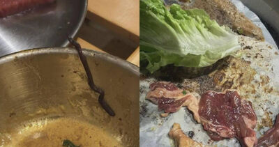 頭皮發麻！烤肉吃一半嘴裡掉出「10cm深褐色活蟲」...一查嚇傻