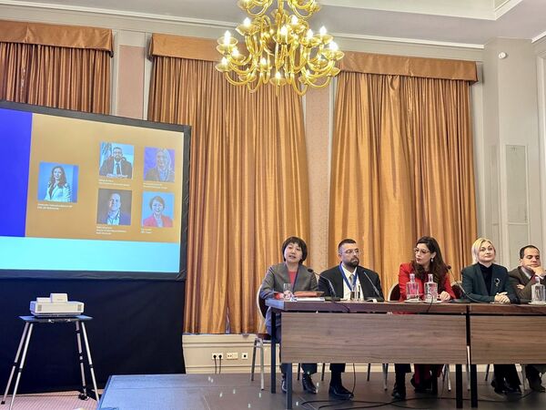 ▲▼民進黨立委范雲、沈伯洋出席國際自由聯盟（Liberal International, LI）第209屆執行委員會。（圖／民進黨提供）