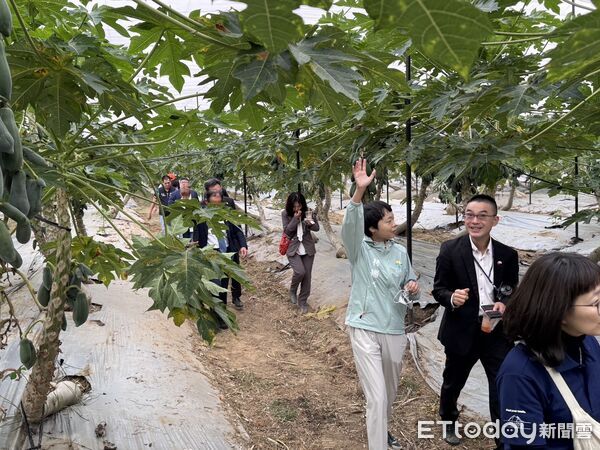 ▲▼   日本群馬縣水上町率團拜訪嘉義縣水上鄉打造「水上 &times; 水上」跨國友誼新頁 交流農產、觀光與地方治理   。（圖／水上鄉公所提供）