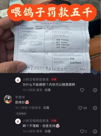 ▲▼遊香港「餵鴿子」被罰2萬元　陸女發文質疑：內地可以隨意餵啊！（圖／翻攝小紅書）