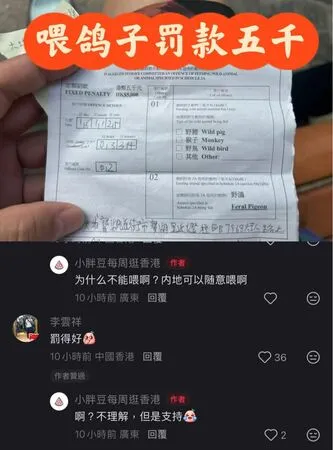 ▲▼遊香港「餵鴿子」被罰2萬元　陸女發文質疑：內地可以隨意餵啊！（圖／翻攝小紅書）