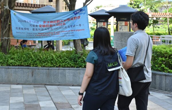 ▲▼香港禁止餵食野鴿。（圖／翻攝香港漁護署）