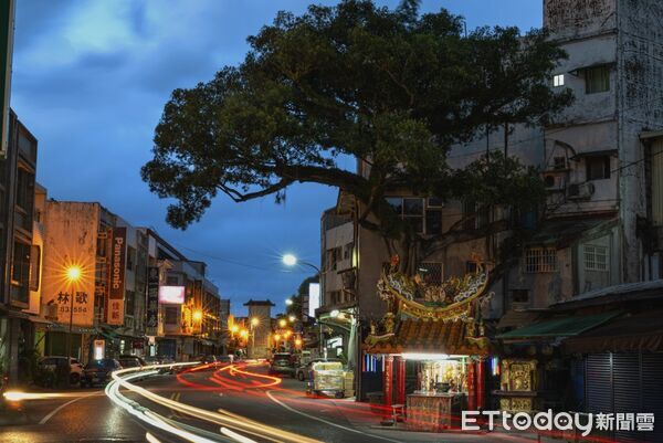 ▲老榕樹長期以來不僅提供綠蔭，也是村民信仰與生活的重要象徵。（圖／富里鄉公所提供，下同）