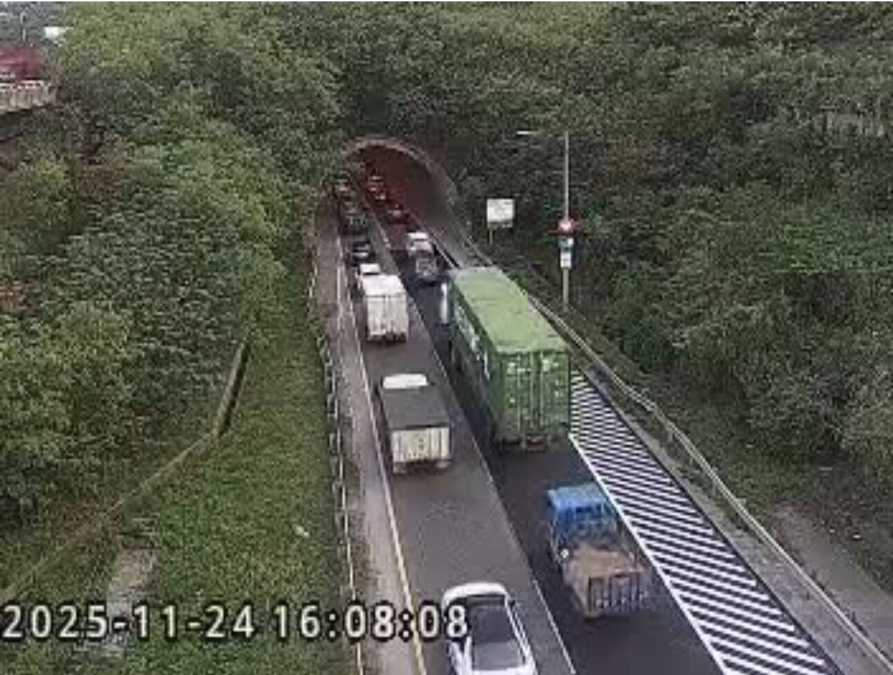 ▲▼台64觀音隧道3隻小豬，車流嚴重回堵。（圖／記者陳以昇翻攝）
