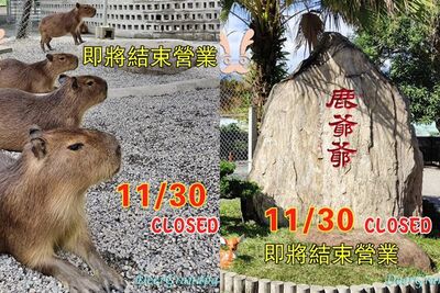 宜蘭「鹿爺爺農場」宣布熄燈 營業至11/30!遊客淚:每年都去3次