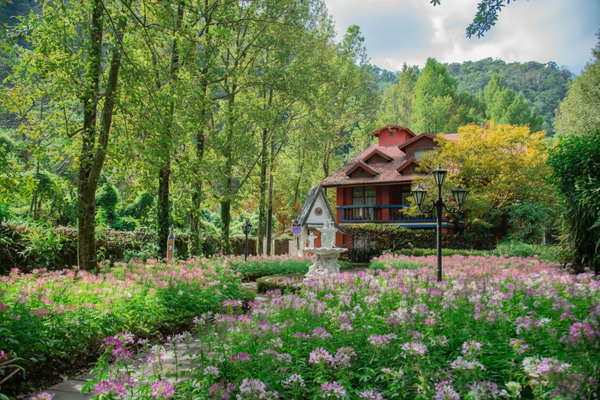 ▲南投4萬坪「台一生態休閒農場」化身聖誕系花園。（圖／業者提供）