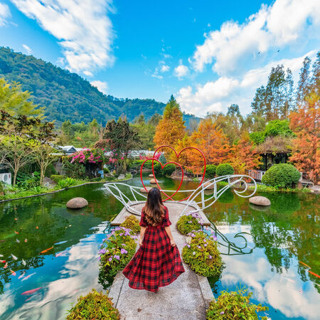 ▲南投4萬坪「台一生態休閒農場」化身聖誕系花園。（圖／業者提供）