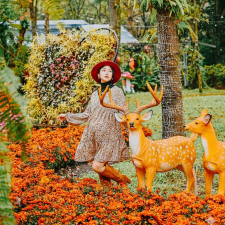 ▲南投4萬坪「台一生態休閒農場」化身聖誕系花園。（圖／業者提供）