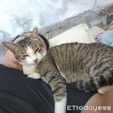 ▲。（圖／有點毛毛的／蔡仁偉提供）