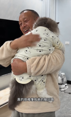 貓咪穿包屁衣。（圖／翻攝自小紅書@太子和陀螺）