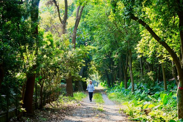 ▲▼《匠人魂》推出全新集數「種樹的詩人」，講述現年81歲的國寶級作家吳晟的故事。（圖／文化總會提供）