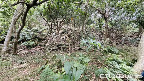 ▲▼落支煙部落及建築遺構。（圖／太管處提供，下同）