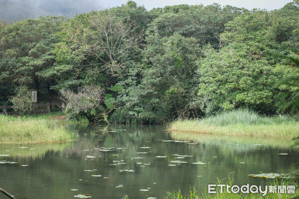 ▲陽明山冷水坑生態池,冷水坑指引牌。（圖／記者彭懷玉攝）