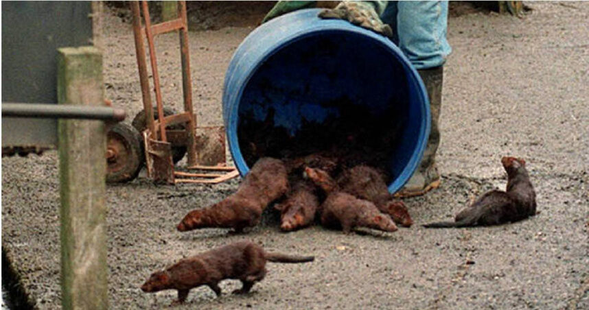 是臥底也是妻子！女警潛伏5年「假戲真做」　與監控對象閃婚隱居