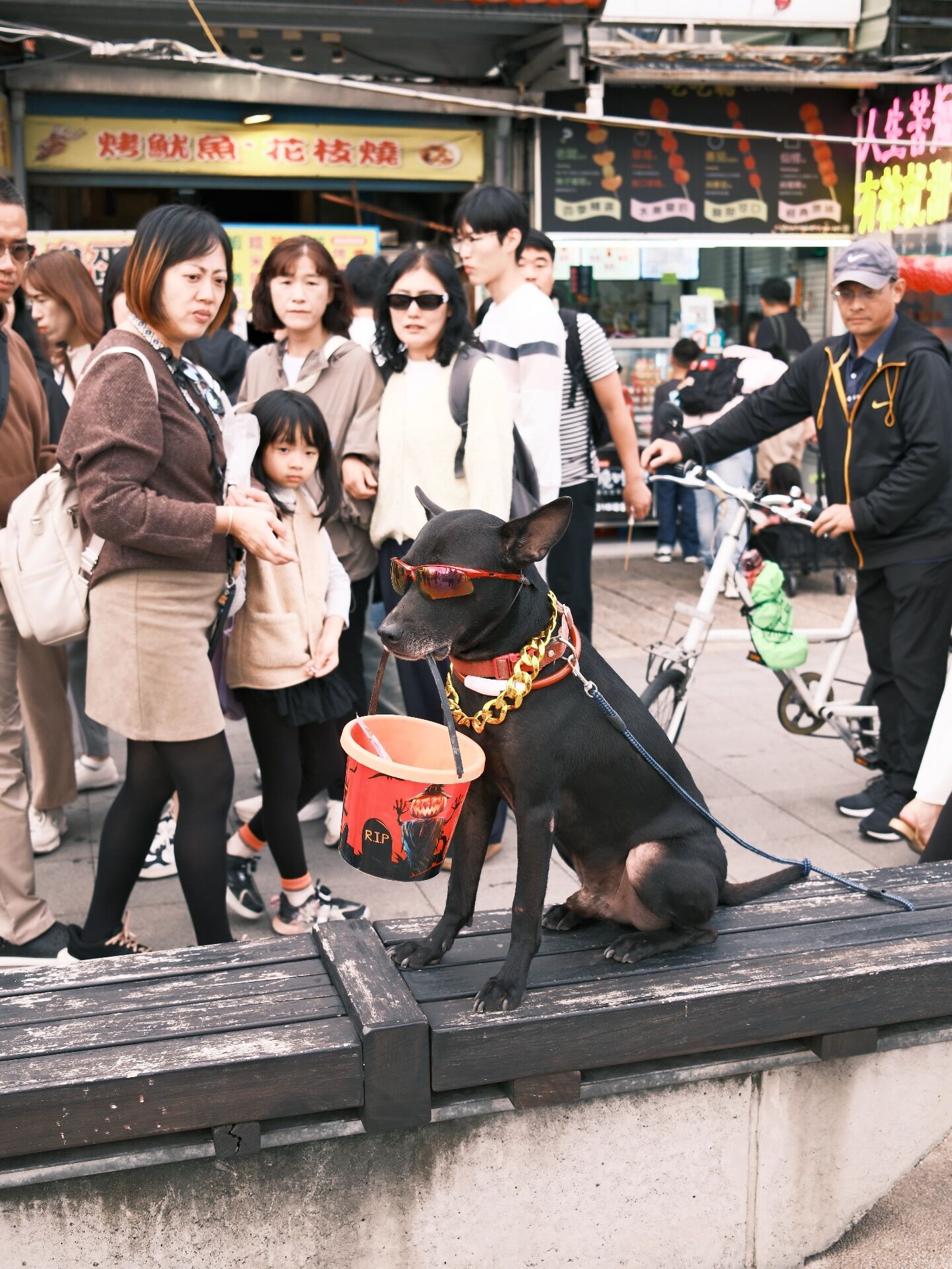 ▲淡水黑狗戴墨鏡乖坐超吸睛　遭網發現勒痕！懷疑是「靠噱頭討賞」。（圖／網友@junyu.24_提供，請勿隨意翻拍，以免侵權。）