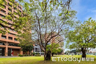 成大勇奪THE跨領域科學排名全球第35、全台第1 AI攻頂展成果