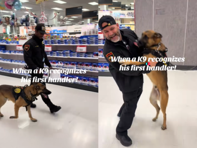 警犬巡邏認出「以前的爸爸」秒變臉 撲上去興奮狂撒嬌