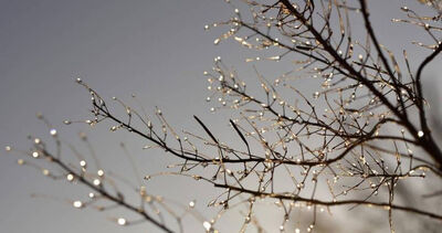 越冷越旺！4星座逆勢起飛　「事業、愛情」雙豐收