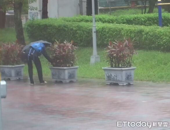 ▲▼毒蜂蜜,毒郵票。（圖／刑事局中打提供）